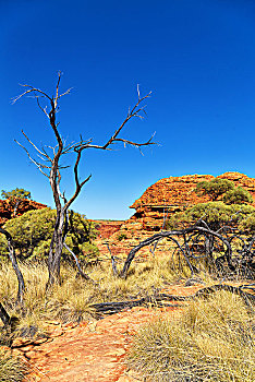 caothuchotso