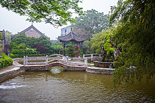 soi cau xo so binh duong
