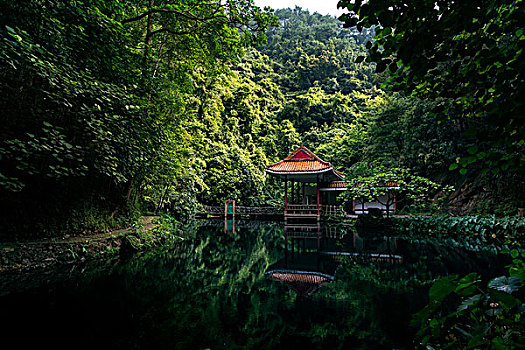 soi đề bạch thủ