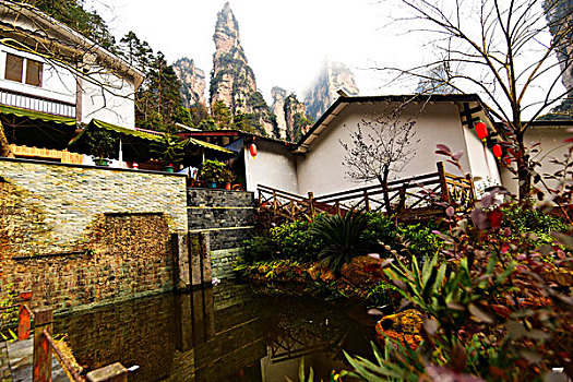 bach thu lo