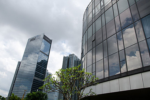 soi cau du doan mb