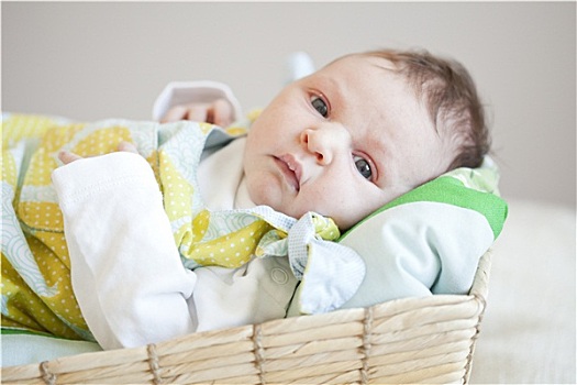 lô bạch thủ miền bắc hôm nay