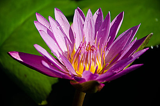 số cần thơ