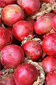 xổ số mt