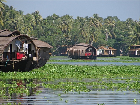 dàn đề chuẩn