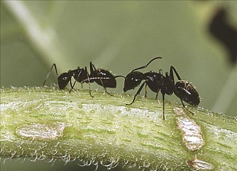 xổ số miền bắc ngày hôm nay