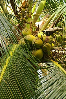 xổ số đài bắc hôm nay