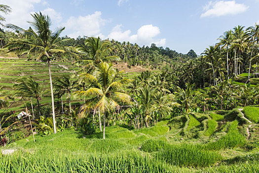 kqxs bến tre