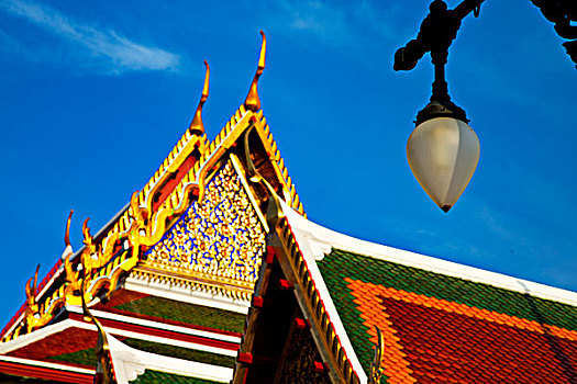soi cau rong bach kim 99