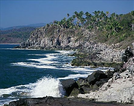 soi cau bach thu mien phi