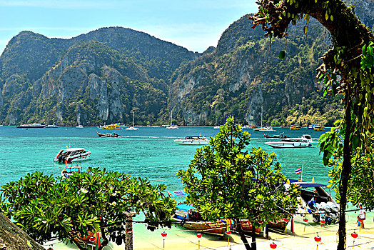 rong bach kim 2 nhay