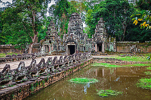 lo de rong vang bach kim