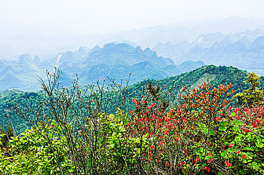 kết quả xổ số điện toán