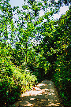 xs đại phát mb