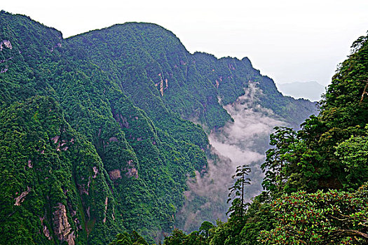 dự đoán xo so