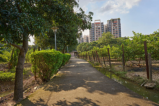 binh luan xsmb