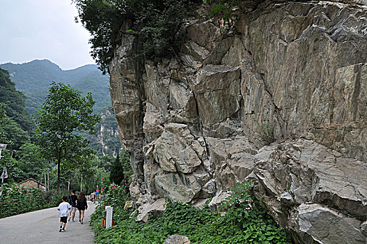 cau bach kim 666