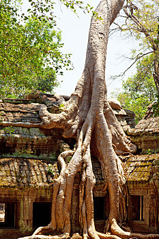 sô kết quả