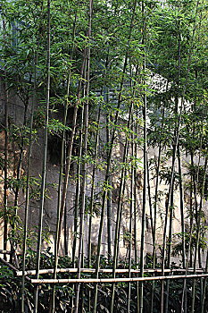 thống kê xsmb