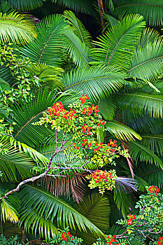 dự đoán số miền nam
