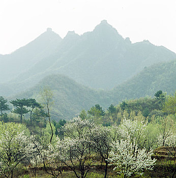 soi cau xsvl tai loc