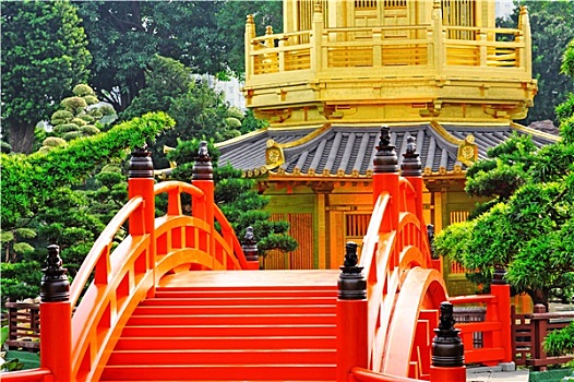 soi cau mb bach thu lo