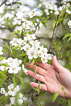 thống kê xổ số miền nam hôm nay