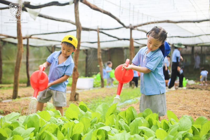 Dã ngoại Cantho Eco Resort - Một ngày chạm vào thiên nhiên