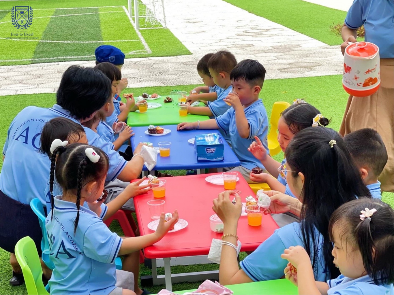 Thúc đẩy cho quá trình hoạt động trao đổi chất trong cơ thể