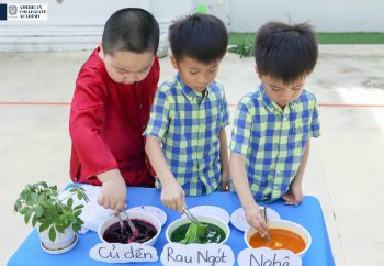 Tỉ mỉ và khéo léo, Bé hóa thân thành nghệ nhân nhuộm vải | ACA Kindergarten